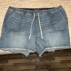 Torrid Shorts